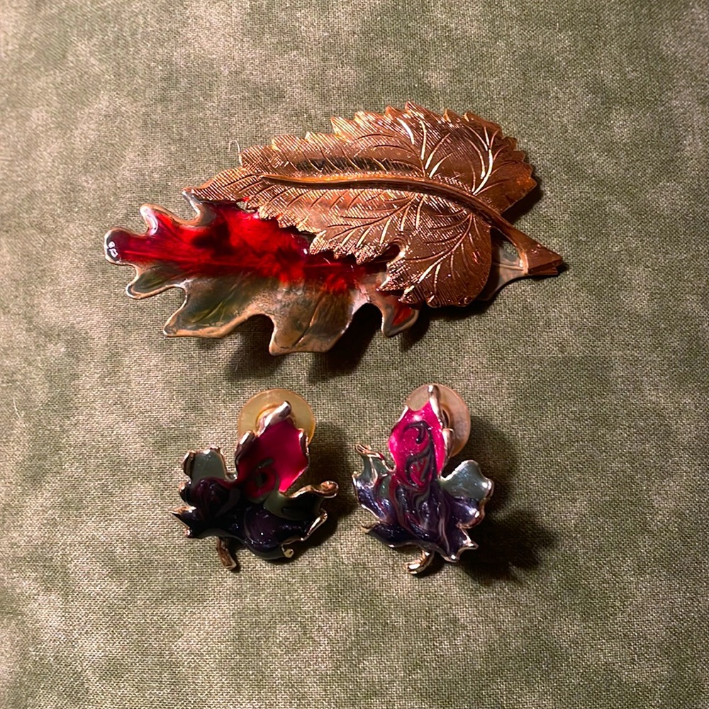 Brooch and pierced earrings